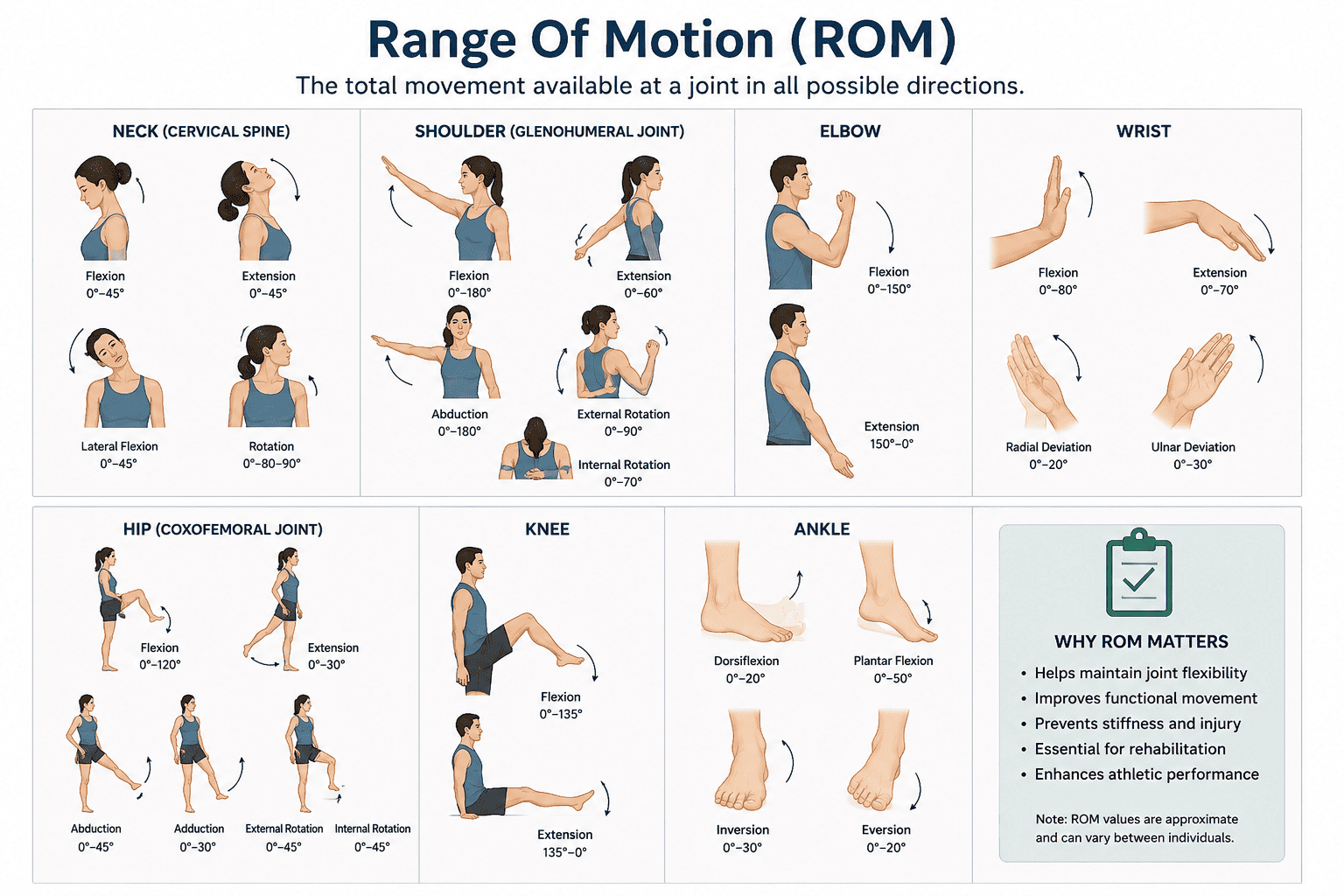 Range Of Motion (ROM)