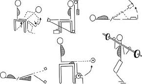 Exercises for the legs in Sitting