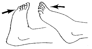 Ankle Joint Range of Motion Exercise