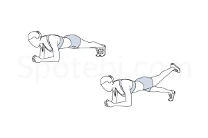 Plank Leg Lift