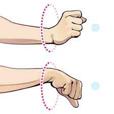 Wrist Joint Range of Motion Exercise