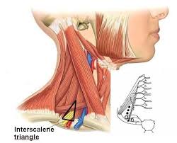 inter scalene triangle