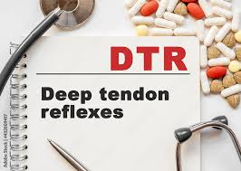 Deep Tendon Reflexes