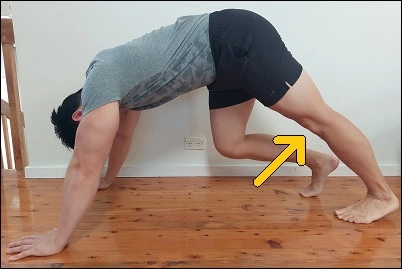 Modified Plank