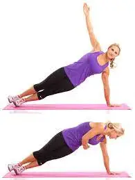 Side Plank Rotation