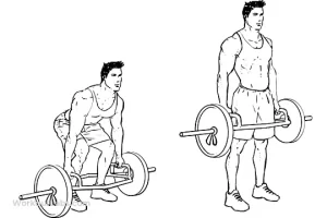 hex bar deadlift