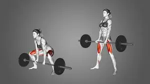 sumo deadlift 