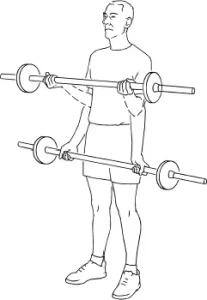 Barbell Bicep Curls