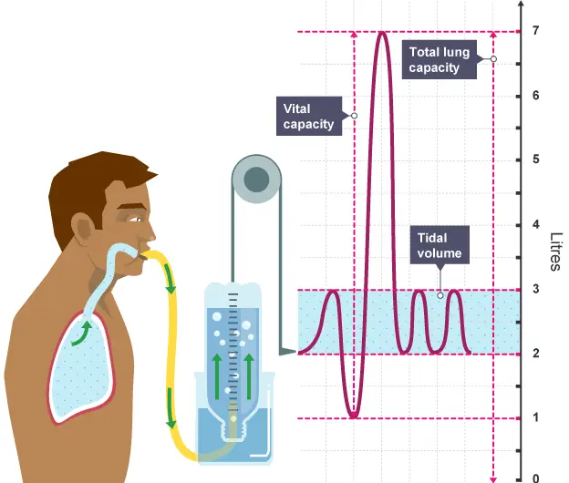 Lung volume measurement
