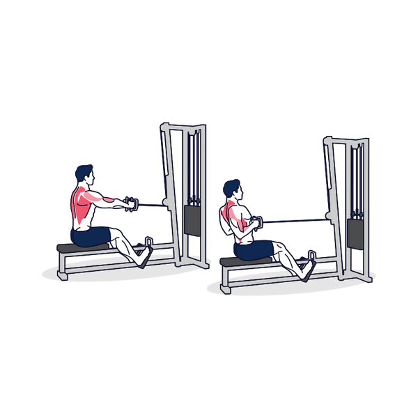 Eccentric seated cable row