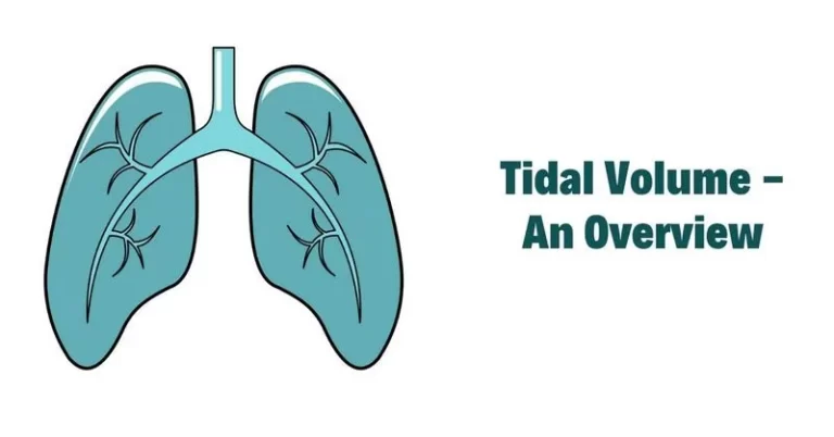 Tidal Volume