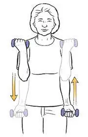 Dumbbell curl