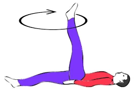 leg-circles