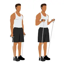 resistance band biceps curl