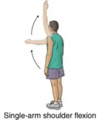 single shoulder flexion