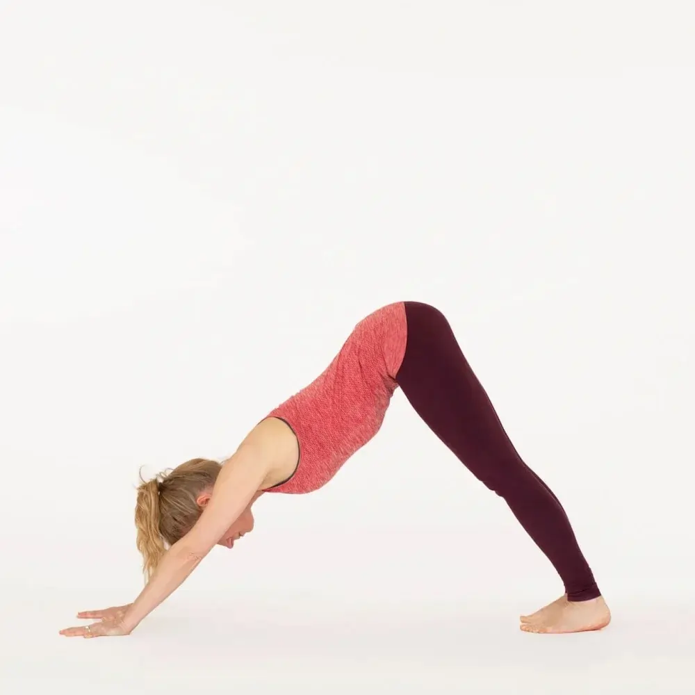 Downward-Facing-Dog-Pose-Adho-Mukha-Svanasana