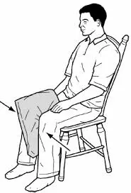 Seated Leg Adduction