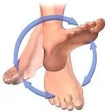 ankle-active-exercise