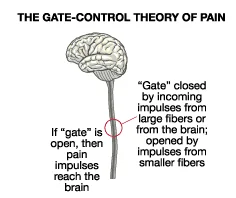 Gate control theory of pain