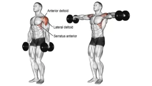 shoulder-Fly-Exercise