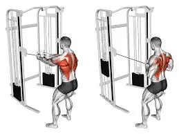 standing horizontal rows