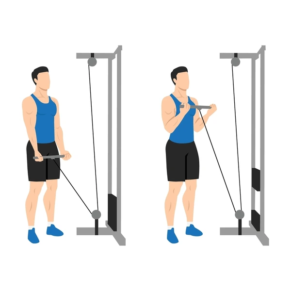 Biceps Curl With Cable