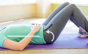 Posterior-pelvic-tilt