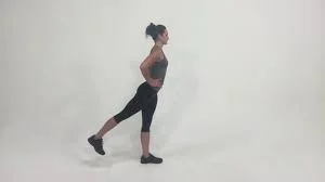 Reverse-standing-leg-raises