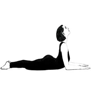 Salamba Bhujangasana or Sphinx Pose