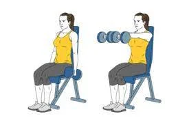 Seated_Dual_Front_Raises_chair