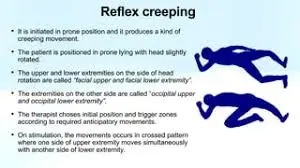 creeping-reflex