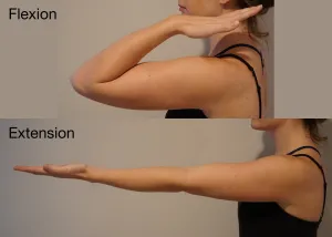 elbow motions