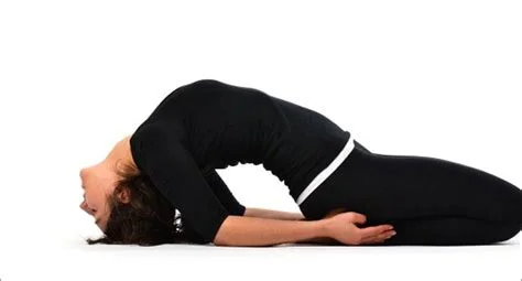 vajara-matysasana