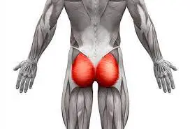 Gluteal Pain