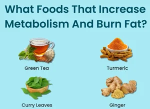 Foods That Increase Metabolism And Burn Fat