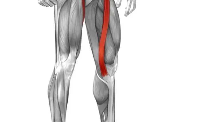 Sartorius Muscle Pain