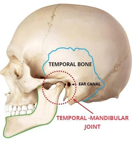 TMJ-temporomandibular-joint