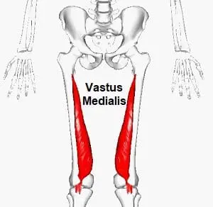 Vastus Medialis Muscle Pain