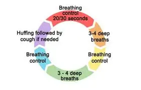 Active cycle of breathing