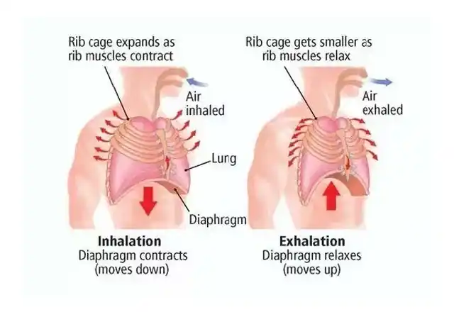 Breathing Control