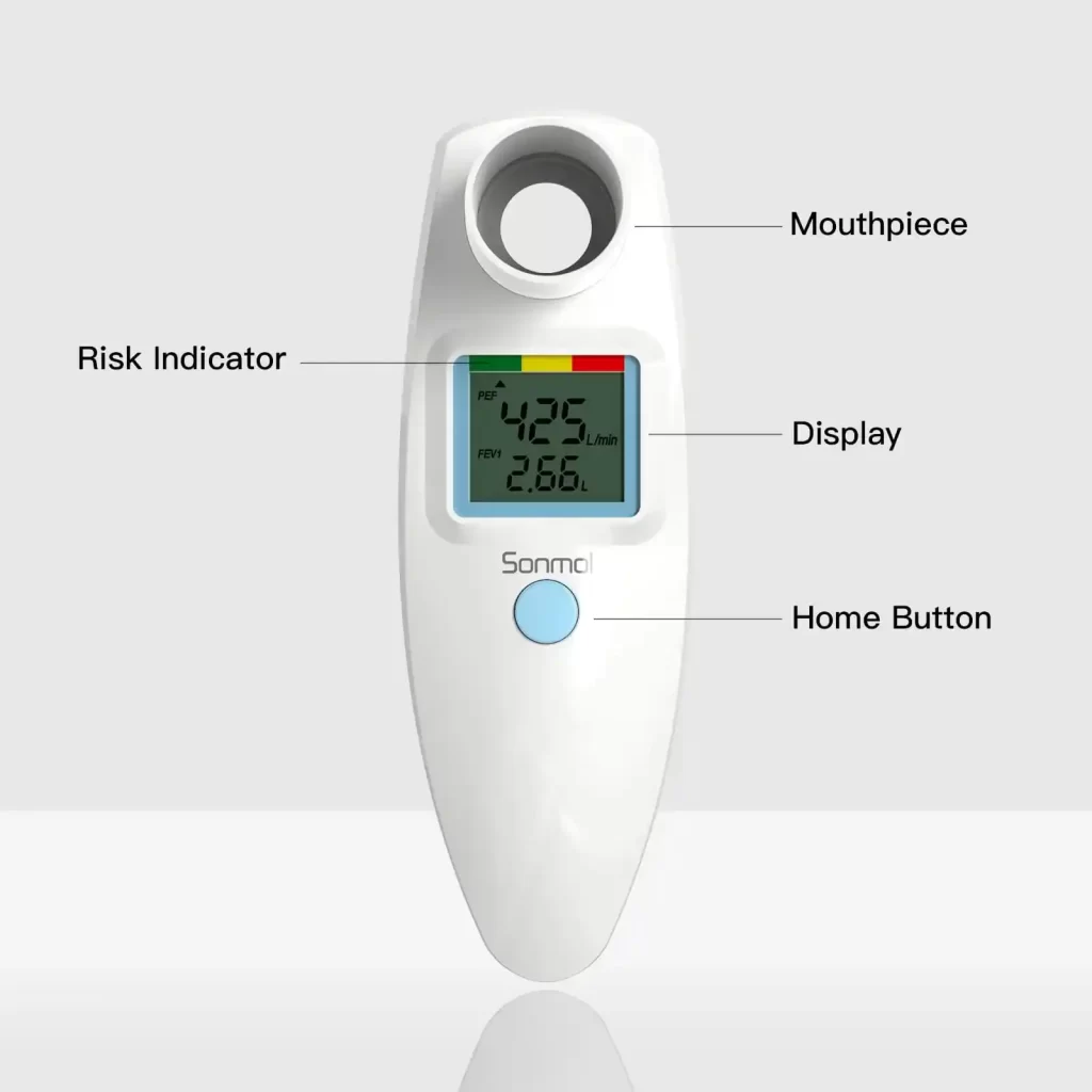 Digital peak flow meter