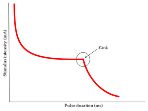 Partial Denervation