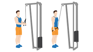 Tricep rope pushdown