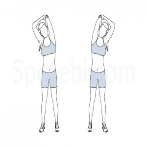 Triceps stretching