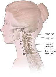 cervical spine examination