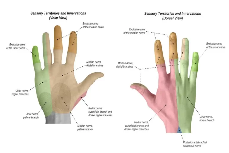 wrist and hand examination