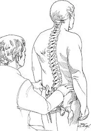 spine-examination