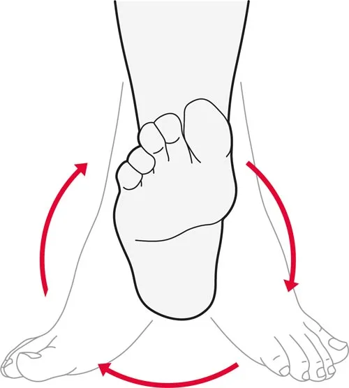 Ankle-Rotation