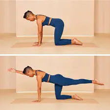 12 Best Exercises For Lumbar Spondylosis Physical Therapy