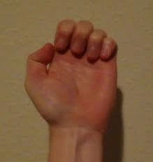 Half Fist